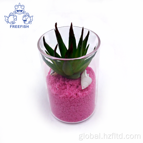 Succulent Plant Pots Mini Desktop Artificial Succulent Plants in Glass pot Supplier